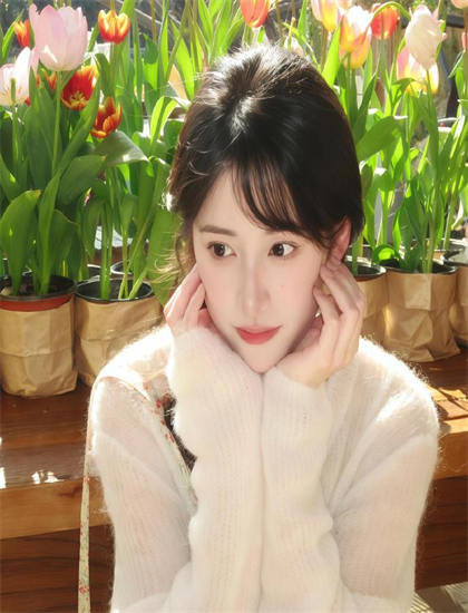 《我和我的司法》美学价值科学分析：艺术美感与审美特征探讨